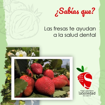 ¿Sabías que? Las fresas te ayudan a la salud dental