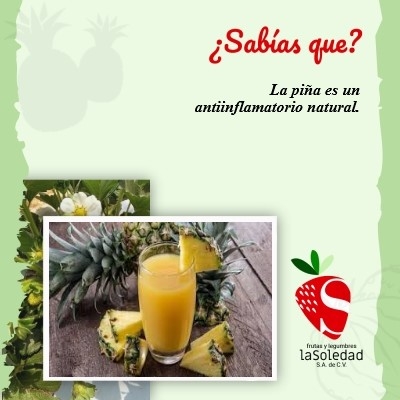 ¿Sabías que? La piña es un antiinflamatorio natural.