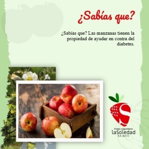 ¿Sabías que? Las manzanas tienen la propiedad de ayudar en contra del diabetes.